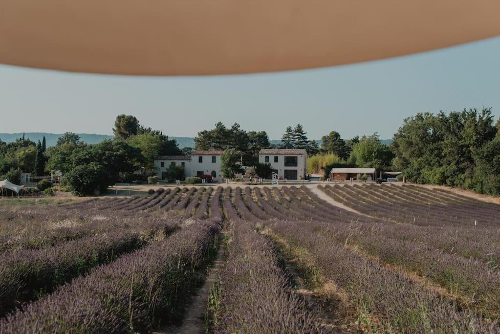Terre Ugo - Studio Campagne Aixoise #6 Aix-en-Provence Exterior photo
