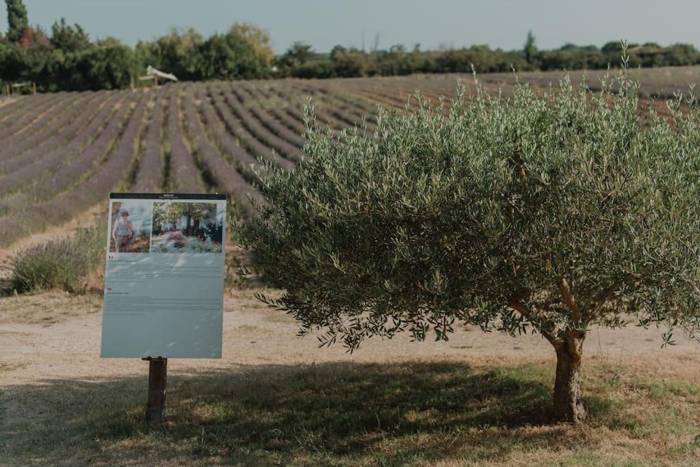 Terre Ugo - Studio Campagne Aixoise #6 Aix-en-Provence Exterior photo